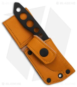 Gerber Dibs Fixed Blade Knife Black Steel (2.5" Black) 30-001903 -Gerber Pro Knives.com Gerber Dibs FB Black BHQ 174456 td sheath